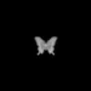 X Hazzy - Butterfly - Single